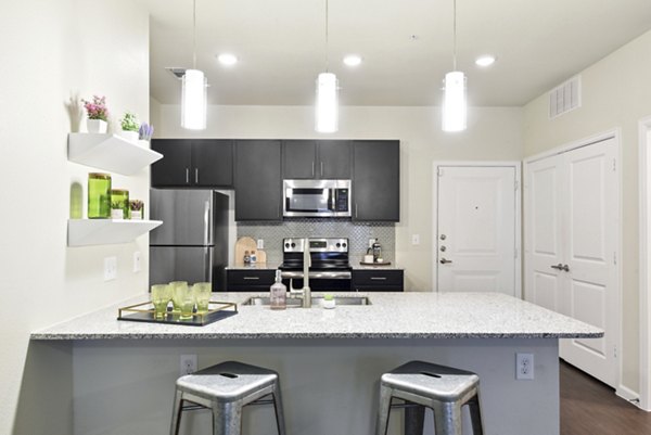 Modern kitchen with stainless steel appliances at Agora Stone Oak Apartments