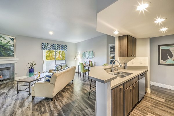 Modern kitchen with stainless steel appliances in Parkway Townhomes