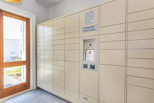 Mail room with secure package lockers at Wyldewood Gosling Apartments