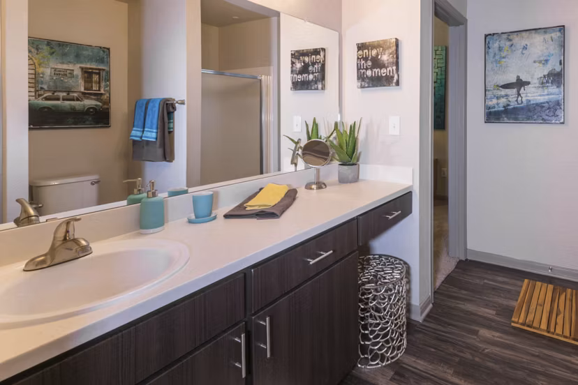 bathroom at District on La Frontera Apartments