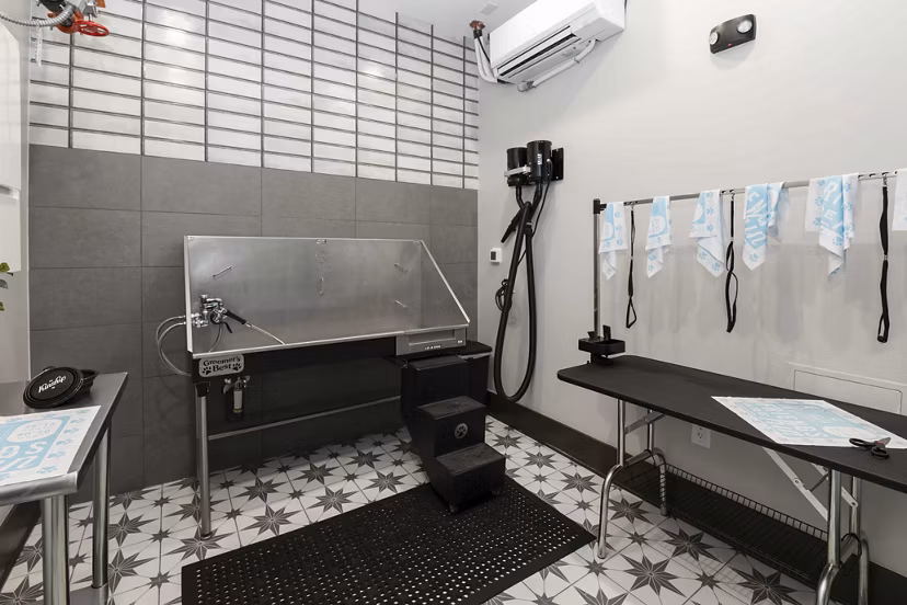 dog wash station at Kinship Apartments
