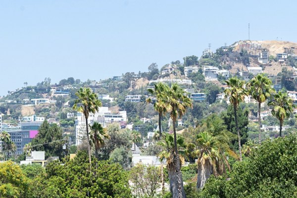 Cityscape view from luxury high-rise at Fitz on Fairfax Apartments in Los Angeles