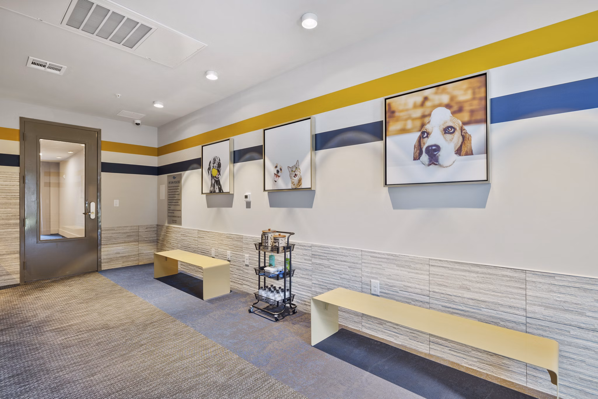 dog wash station at The Waters at Hammond Apartments