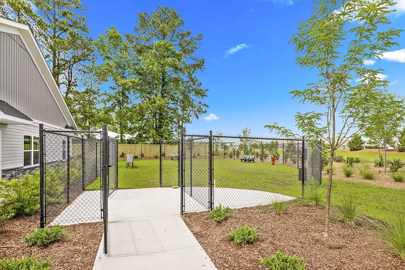 Dog-friendly park at River Rock at Shingletree Apartments, featuring spacious walking paths and play areas for pets