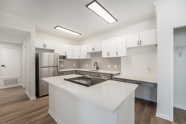 KITCHEN at Water Tower Flats Apartments