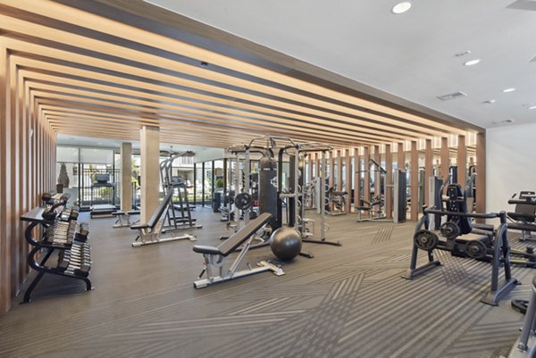 Modern fitness center with state-of-the-art equipment at Starlight Apartments for a luxurious workout experience