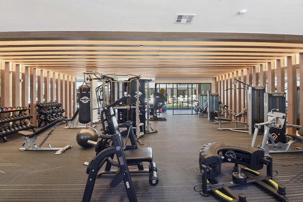 Modern fitness center with state-of-the-art equipment at Starlight Apartments