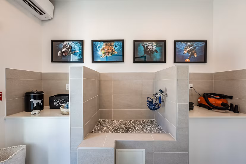 dog wash station at Lyria Apartments 