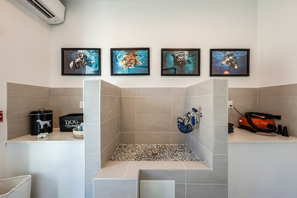 dog wash station at Lyria Apartments 