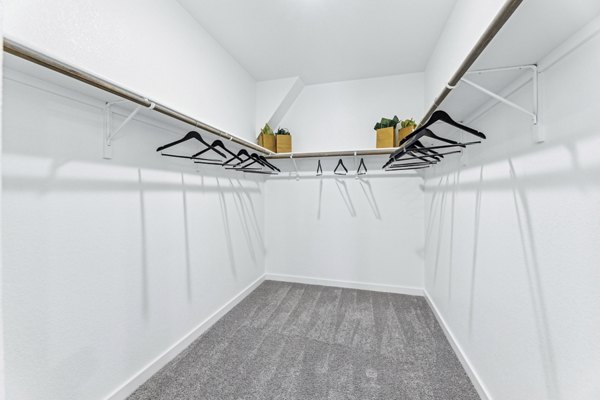 bedroom closet at Skymor Carmel Creek Apartment Homes