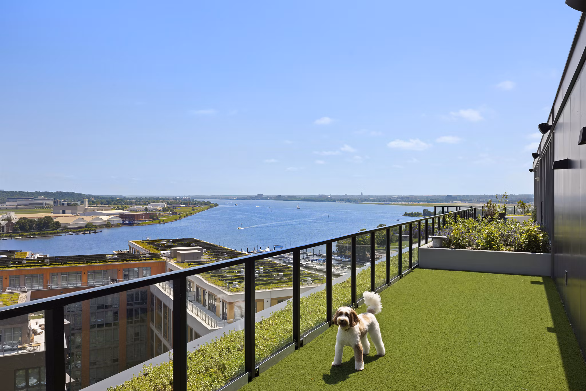 dog park/balcony/patio at The Byron Apartments