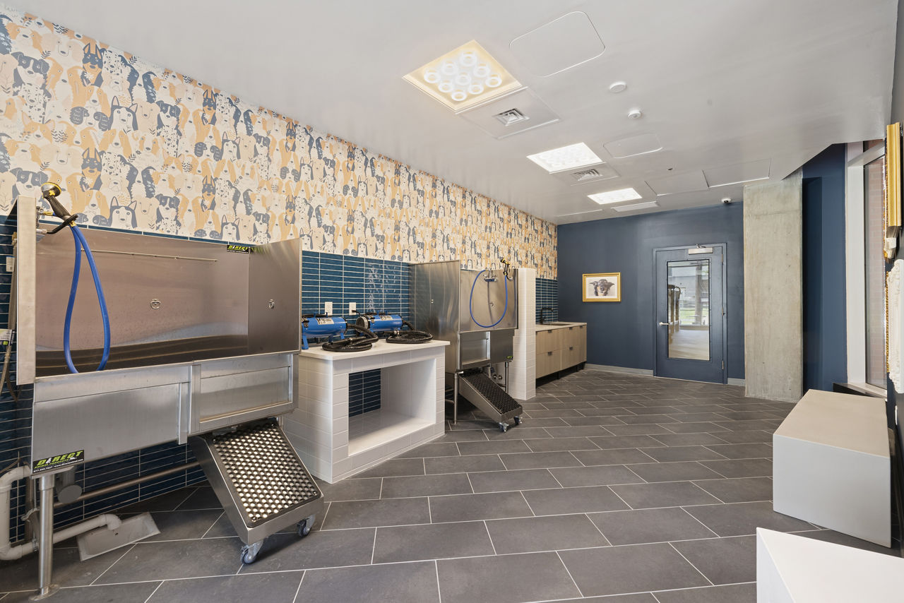 Pet wash at Colette