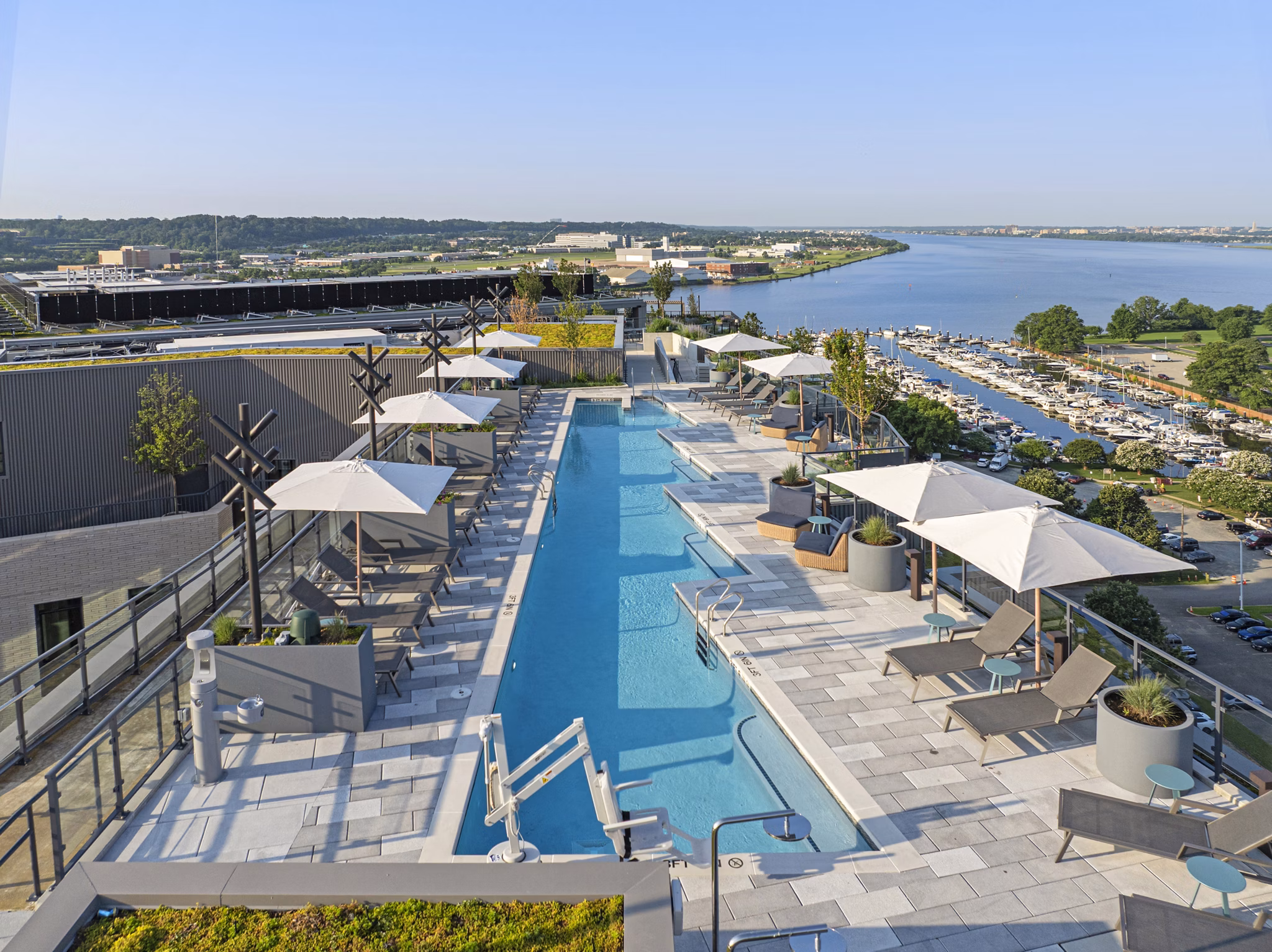 Pool at Everly Apartments
