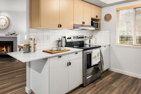 kitchen at Scout Apartments