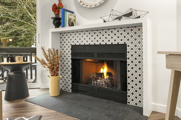 fireplace/living room at Scout Apartments