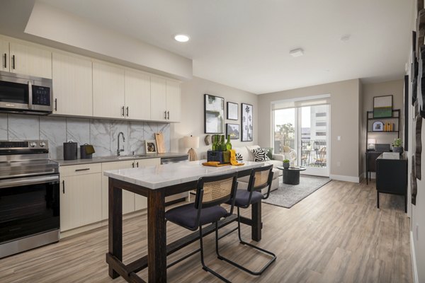 kitchen at The DeMilo Apartments