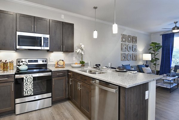 Modern kitchen with granite countertops and stainless-steel appliances at The Aspens Verdae Apartments, luxury living in Greenville