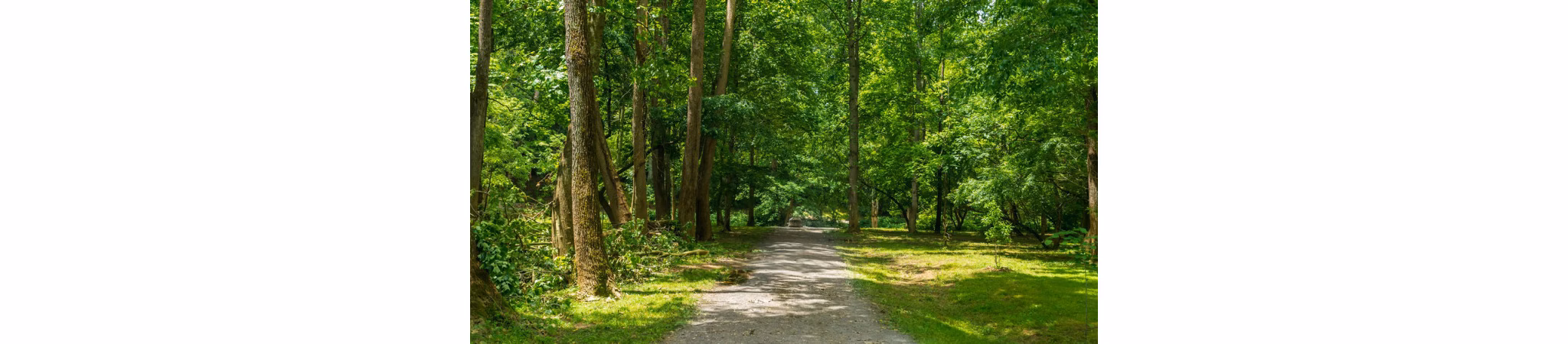 neighborhood at Hominy at RiverBlue Apartments