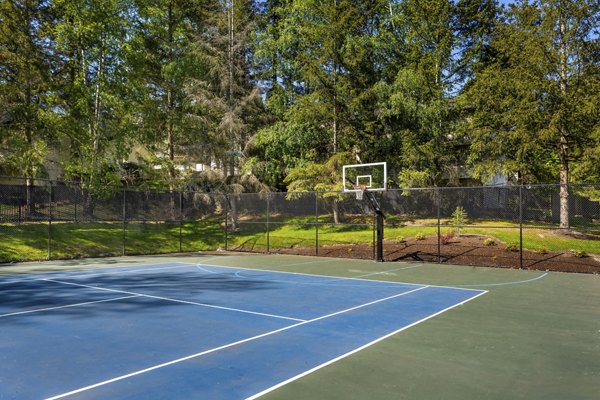 Alaire Apartment Homes: Outdoor sport court with basketball hoops