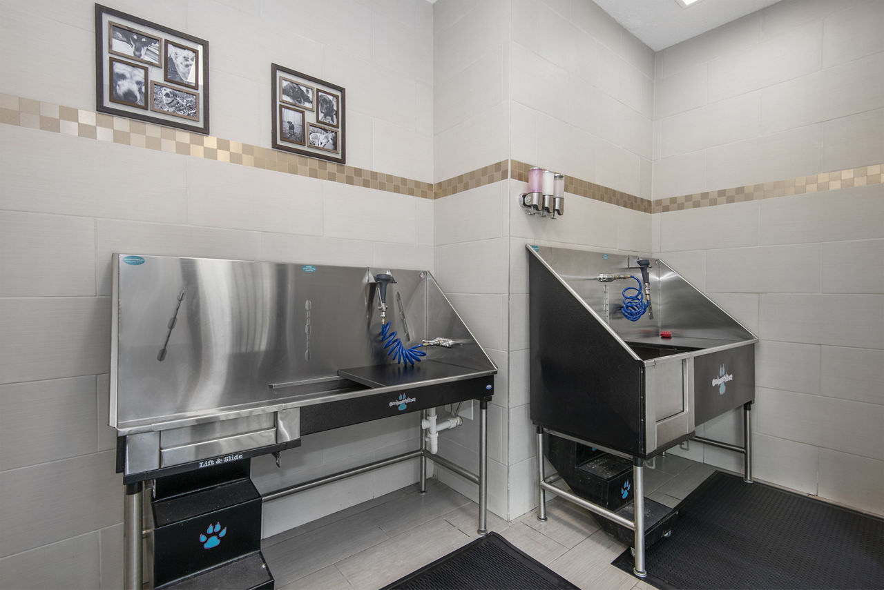 Pet wash at Avana Bellemeade