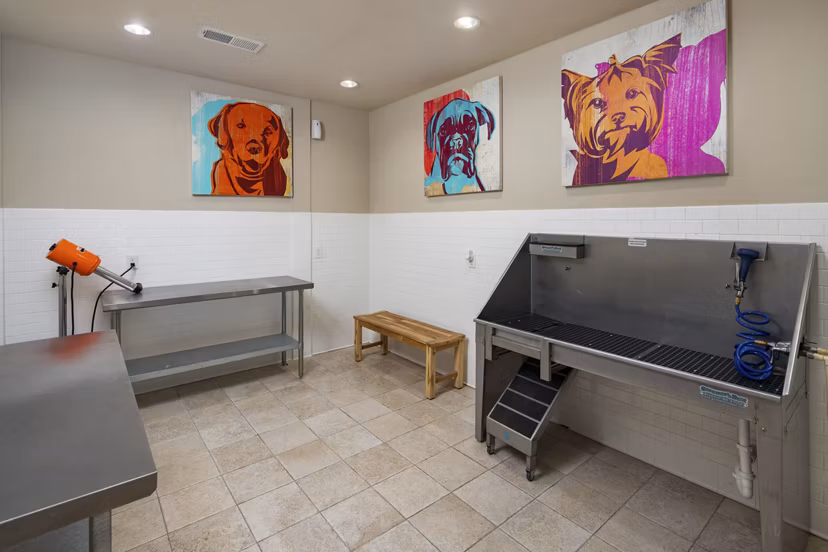 dog wash station at Ardmore & 28th Apartments