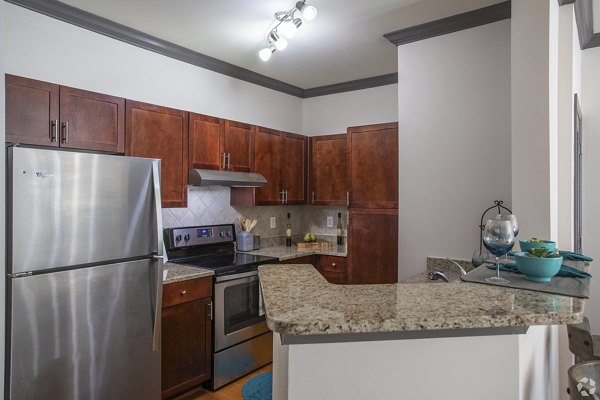 Modern kitchen featuring sleek countertops and stainless steel appliances in CB Lofts Apartments, ideal for luxury living