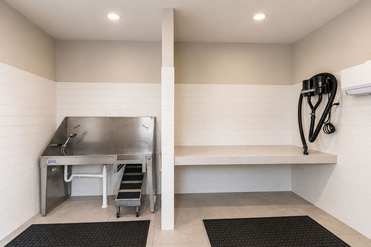 Pet wash at Satori West Ashley