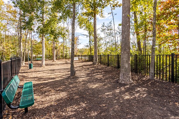 rendering for Satori West Ashley Apartments