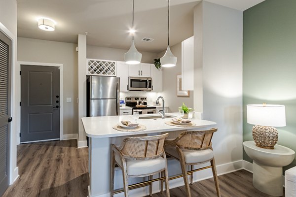 rendering for Satori West Ashley Apartments