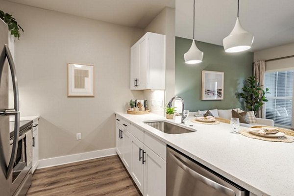 rendering for Satori West Ashley Apartments