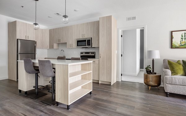 kitchen at Station 250 Apartments 