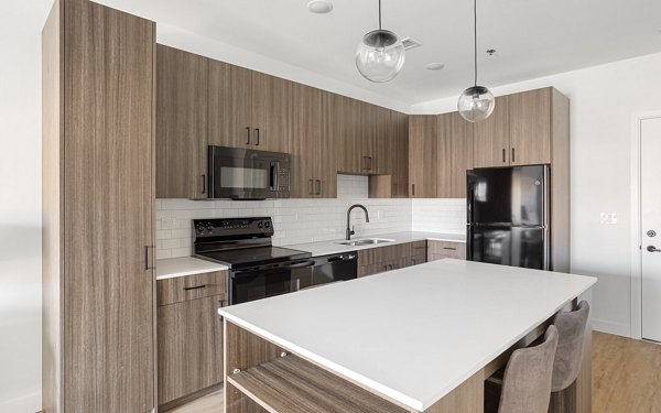 kitchen at Station 250 Apartments 