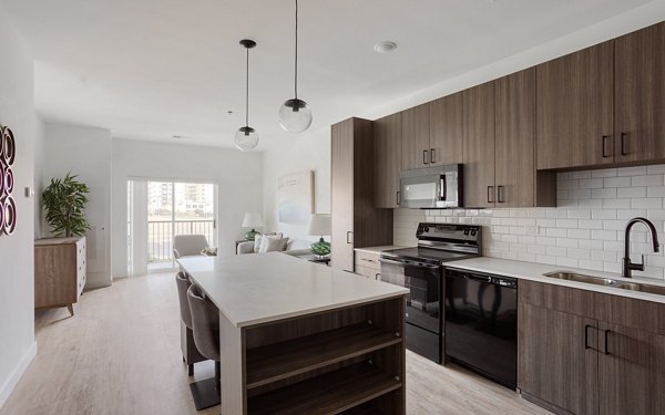 kitchen at Station 250 Apartments 