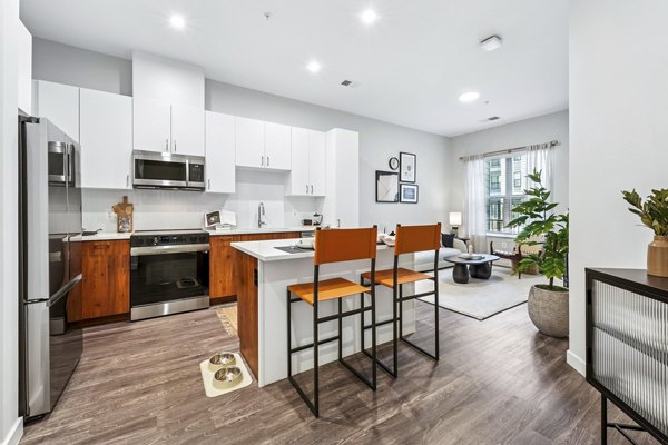 kitchen at Alta NOVA Apartment