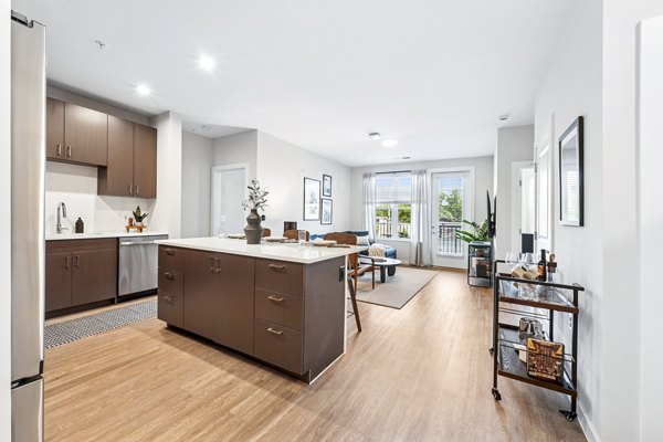 kitchen at Alta NOVA Apartment