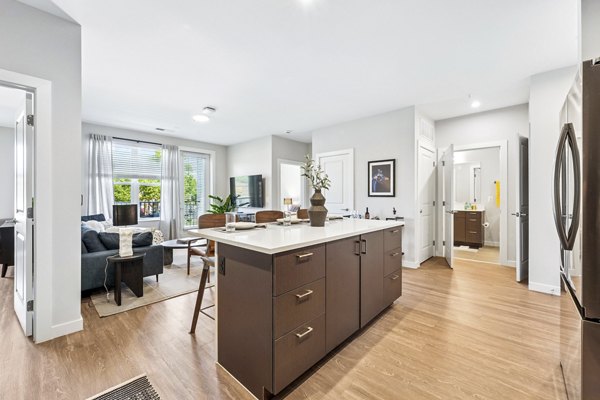 kitchen at Alta NOVA Apartment