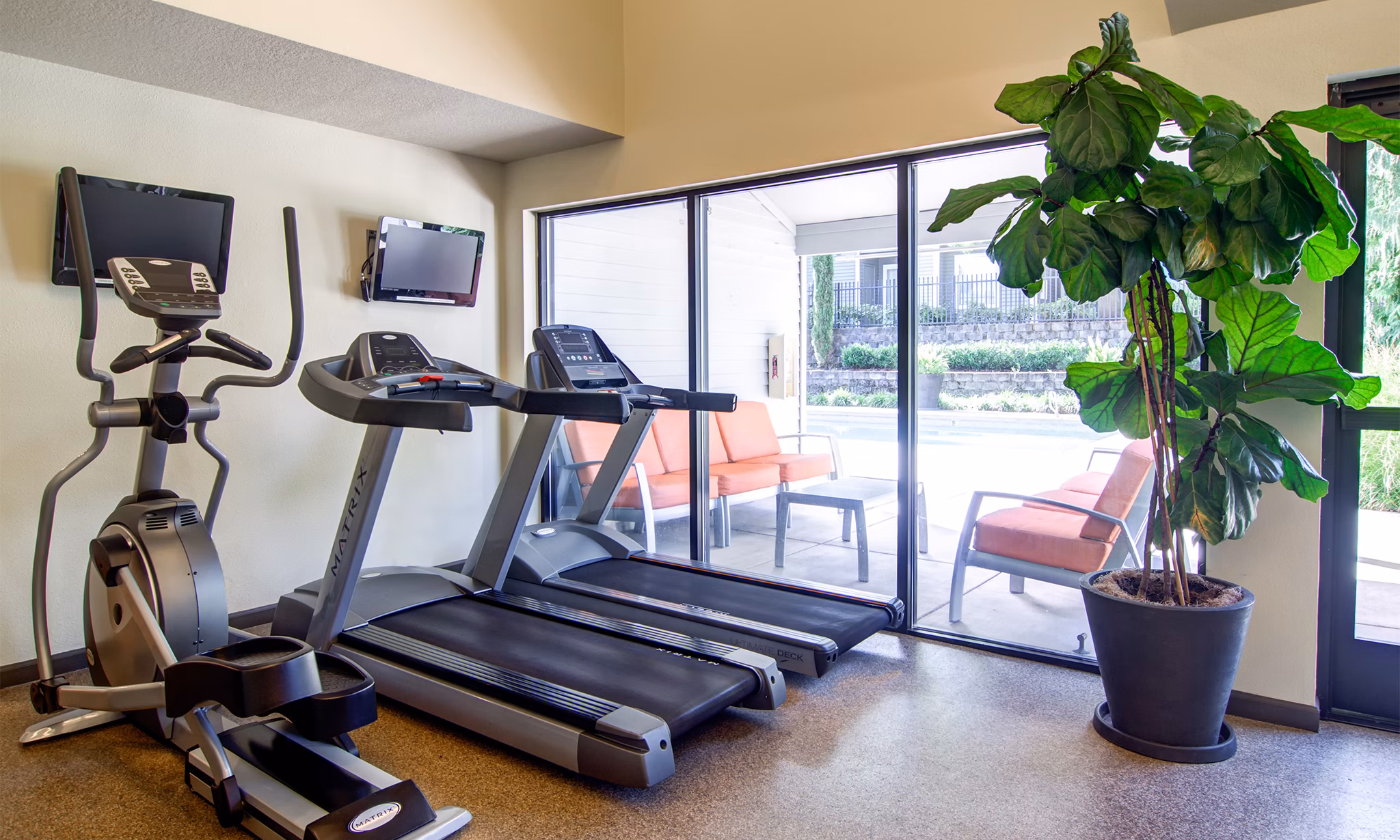 fitness center at Avana Birch Pointe Apartments