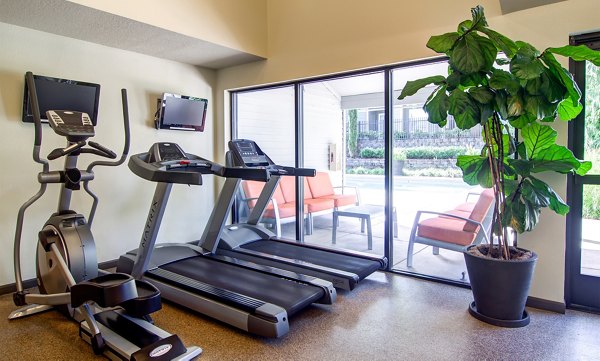 fitness center at Avana Birch Pointe Apartments