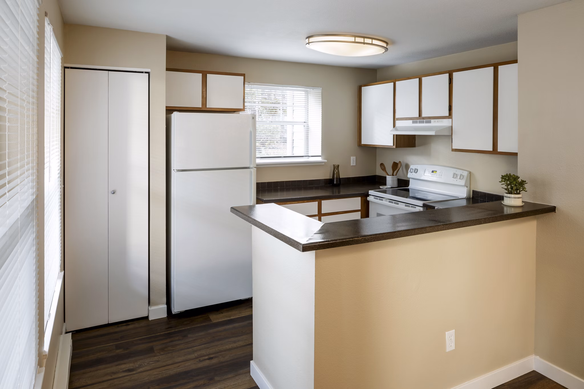 kitchen at Avana Birch Pointe Apartments
