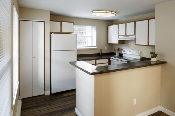 kitchen at Avana Birch Pointe Apartments