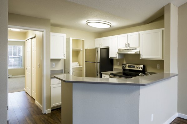 kitchen at Avana Birch Pointe Apartments