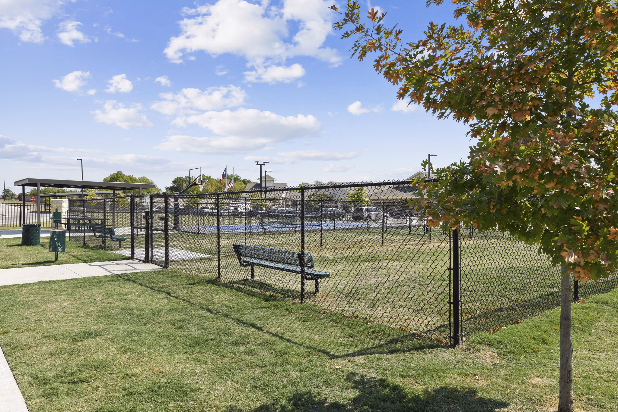 dog park at Icon Apartments