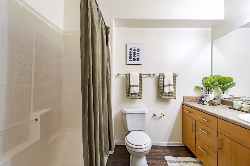 bathroom at The Ridge at Clear Creek Apartments