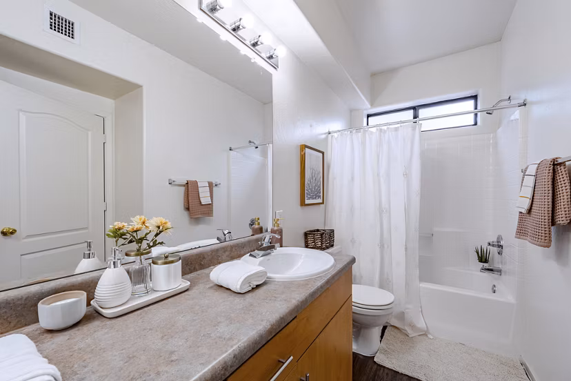 bathroom at The Ridge at Clear Creek Apartments