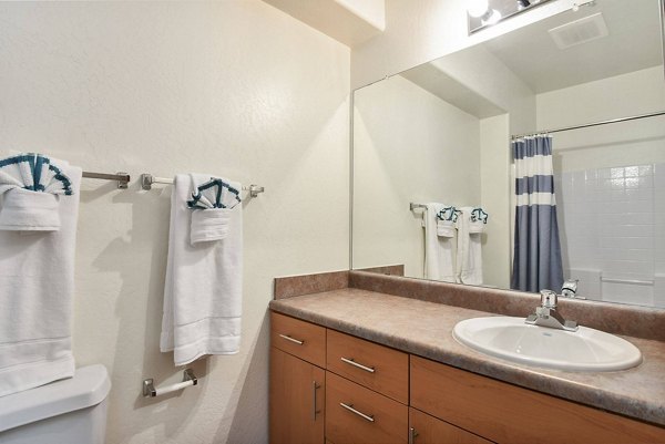 Bathroom at The Ridge at Clear Creek Apartments