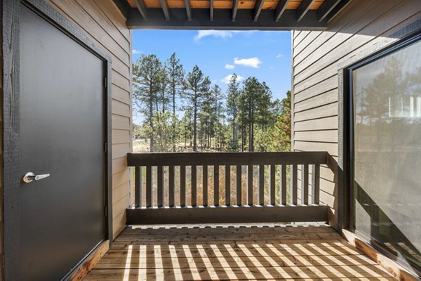 Patio at The Ridge at Clear Creek Apartments