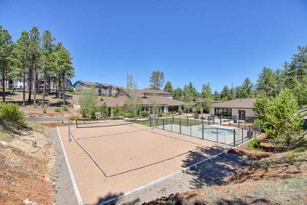 Courtyard at The Ridge at Clear Creek Apartments