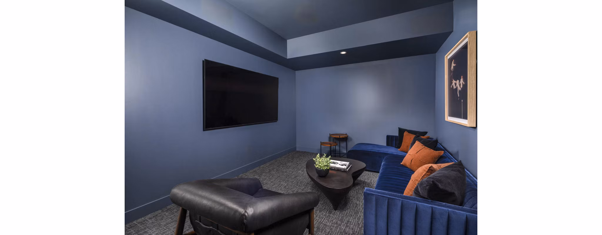 clubhouse at LUCA Apartments 