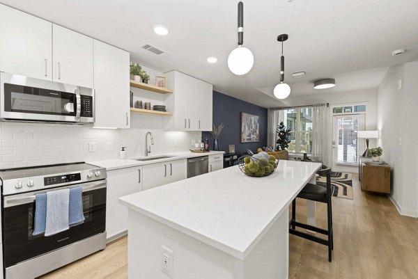 kitchen at Alexan LoSo Apartments 