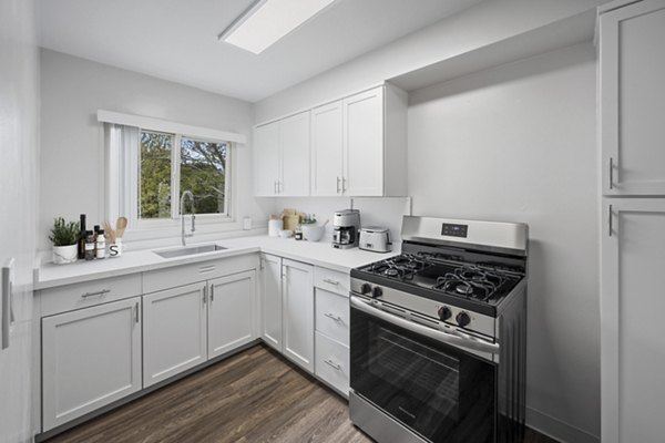 rendering at Hillsdale Garden Apartments 